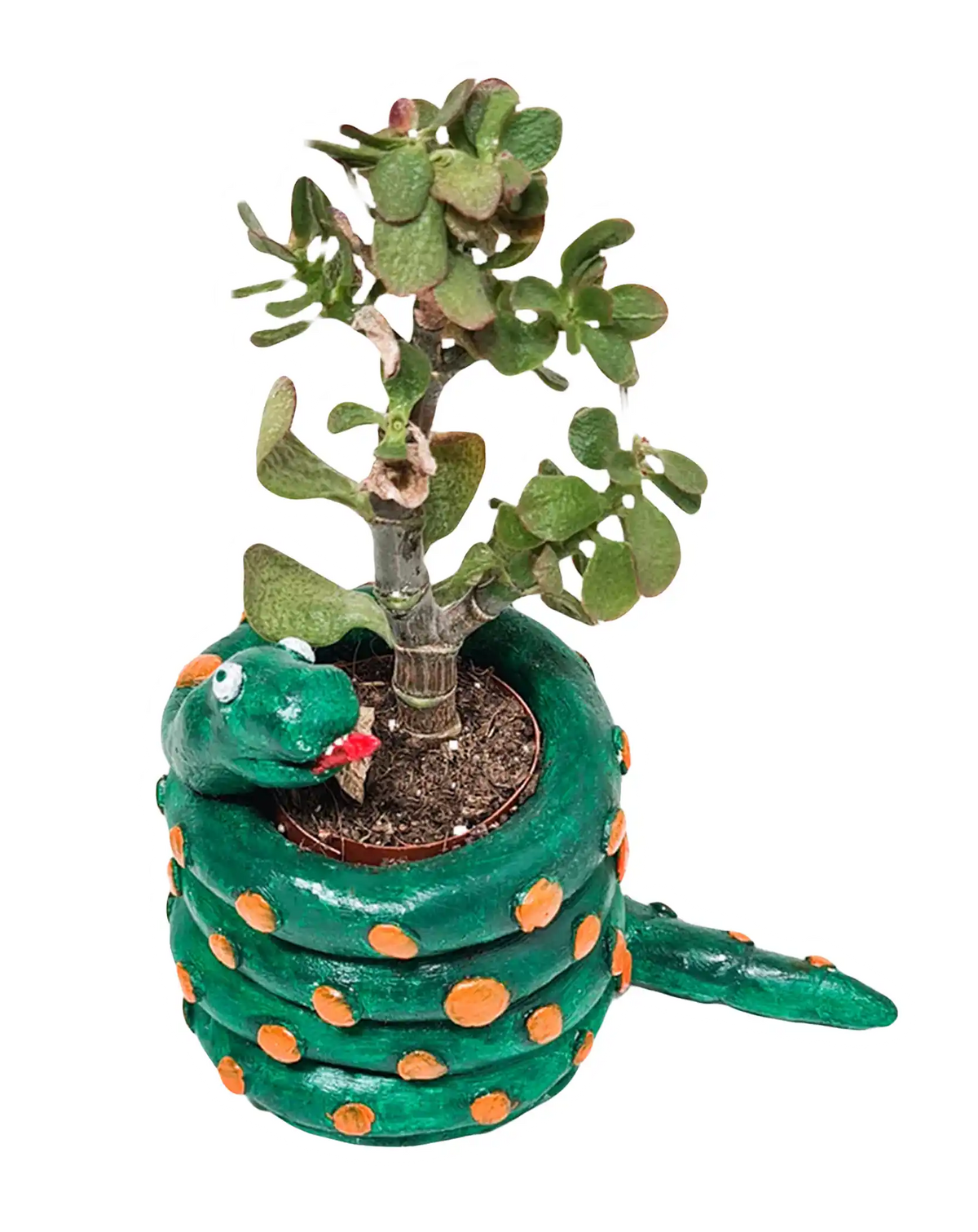 Green snake-shaped planter banner for Sculpd EU kids kits listicle